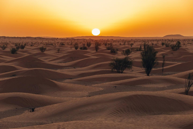 Desert Dream: 2 dagars äventyr i Sahara