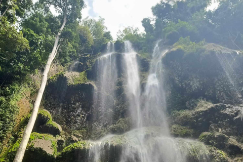 CEBU: Valhajsskådning + Sumilon Sand Bar + Tumalog Falls