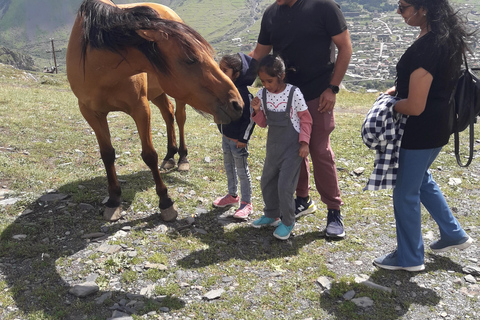 Hele dag privétour met gids naar Gudauri & Kazbegi bergen