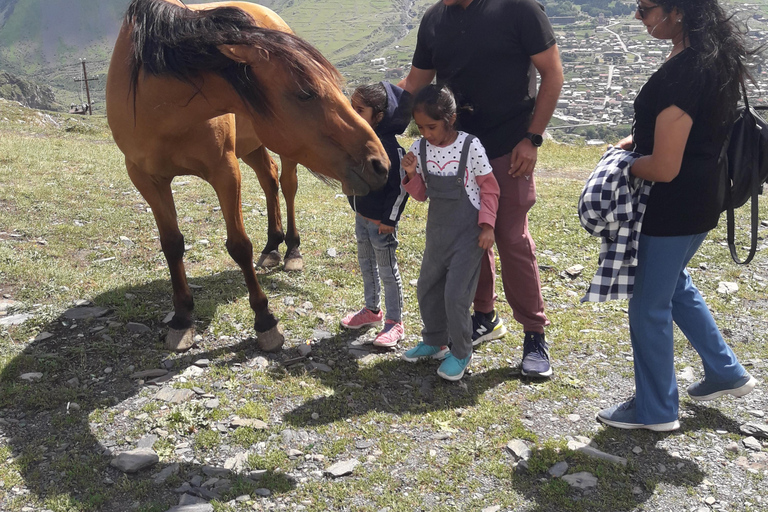 Tour privato guidato di un giorno intero ai monti Gudauri e Kazbegi