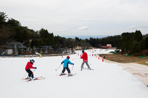 Osaka: Rokko Snow Park – wycieczka 1-dniowa z opcjonalną lekcją jazdy na nartachD (SANKI)