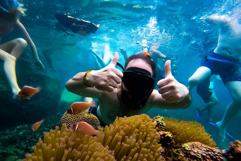 Ko Tao: Late Riser Snorkeling Tour with Lunch and Photos