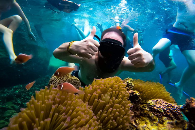 Ko Tao: Late Riser Snorkeling Tour with Lunch and Photos