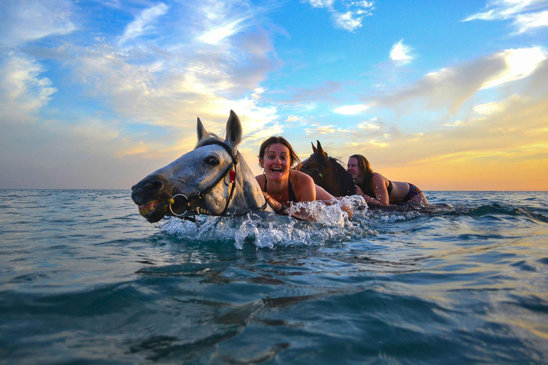 Zakynthos: Horse Riding Swimming Experience