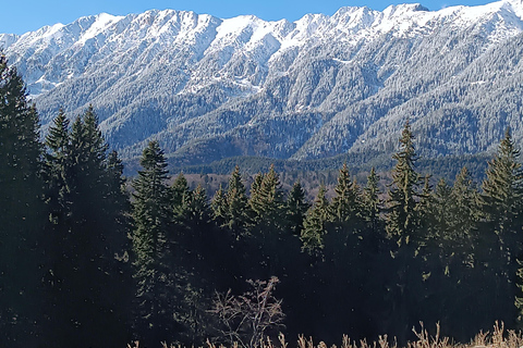 Brașov: Curmătura Chalet, adventure with Mountain Guide