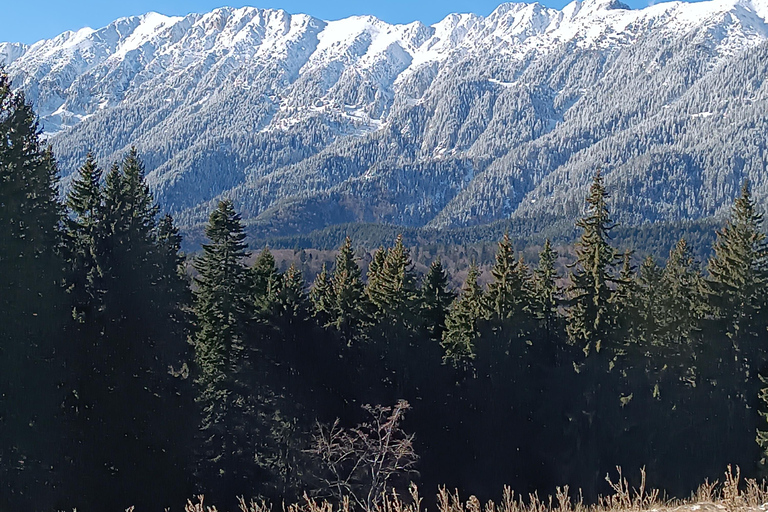 Brașov: Curmătura Chalet, adventure with Mountain Guide