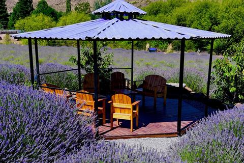 Villa Llanquín: Magic of the Steppe and Lavender Experience
