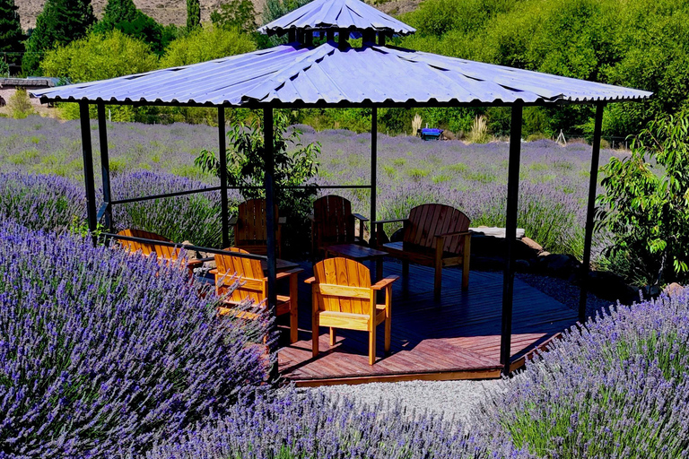 Villa Llanquín: Magic of the Steppe and Lavender Experience