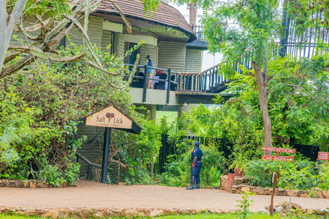 Safari de 3 días Taita Hills-Tsavo Oeste alojándote en Saltlick