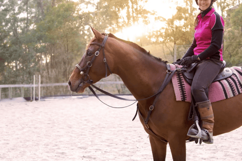 Gold Coast: Horse Whispering Experience Private 1 To 1 Session