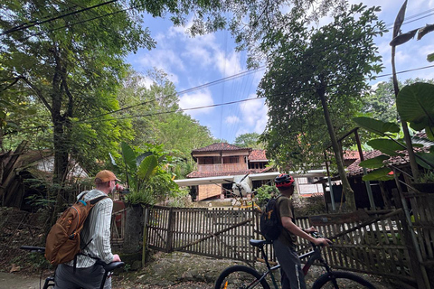 Yogyakarta: Bike Tour, Pottery, Ricefield, Museum With Lunch Bike, Pottery Class, Rice fields, Museum (No Lunch)