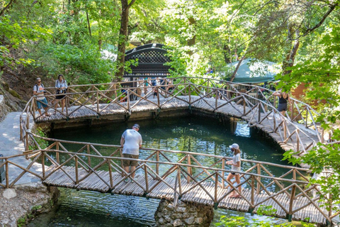 Rhodes: Filerimos & Valley of the Butterflies & Wine Tasting Tour With Pick up From FALIRAKI & KALLITHEA
