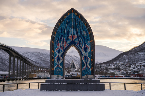 Tromsø : visite en anglais de la vieille ville et du musée polaire