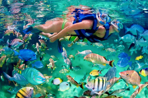 From Huatulco: Private 7 Bays Boat Tour