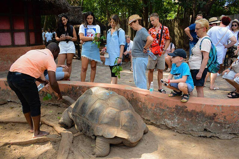 Zanzibar: Private Stone Town, Prison Island & SpiceFarm Tour Tour without transfer, entrance fees and conservation fees