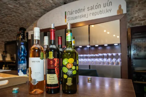 Bratislava: Slovakian Wine Tasting Experience