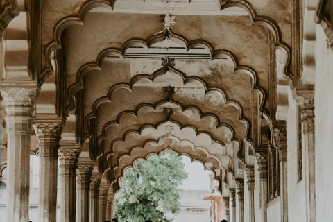 Vanuit Jaipur: Zonsopgang Taj Mahal & Agra Fort privétourPrivétour met chauffeur, auto, entreegeld, lunch en gids