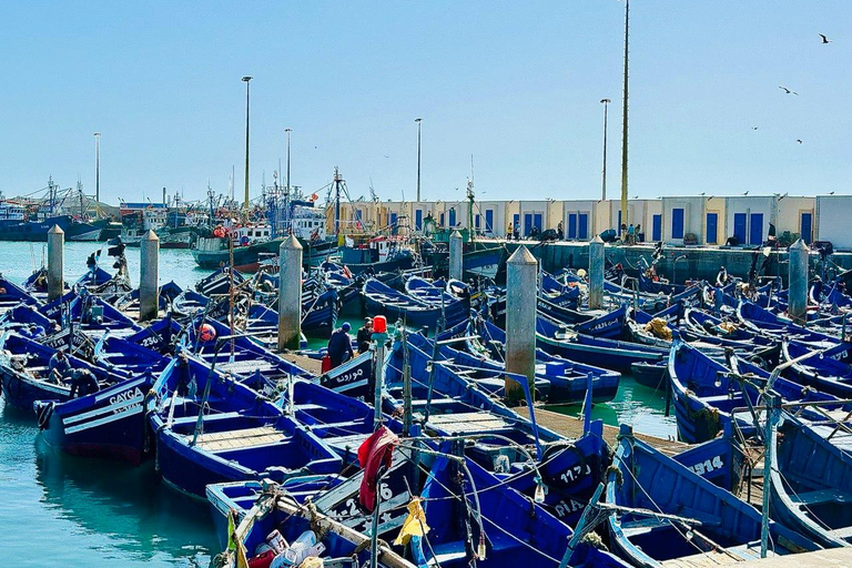 From Marrakech: Essaouira Day Trip with Optional Activities