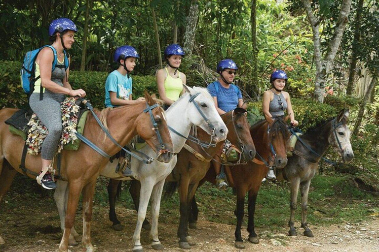 Escursione a Samaná, alla Cascata El Limón e all&#039;Isola Bacardi da Punta Cana