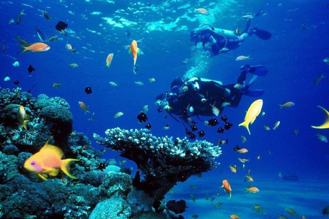 Private: Punta Cana Coral Reef Scuba Experience