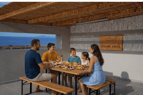 Santorini: Traditional Greek Picnic on an Organic Farm