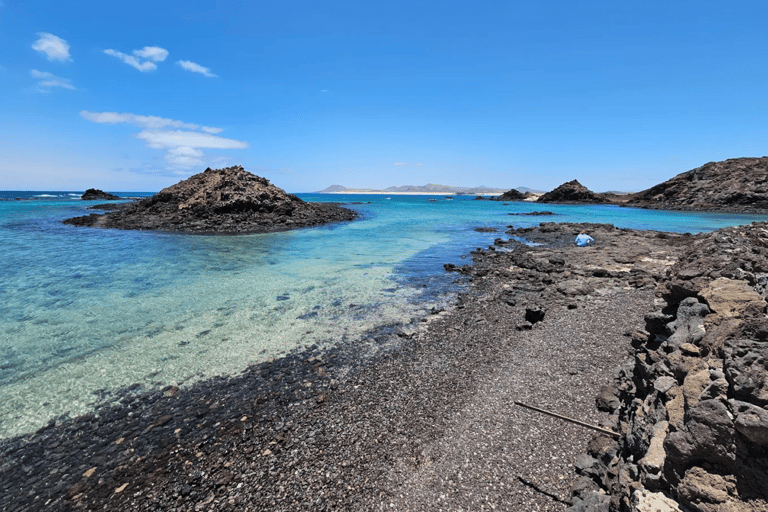 Eco Fast Ferry Mini-Cruise and Snorkel in Lobos Island