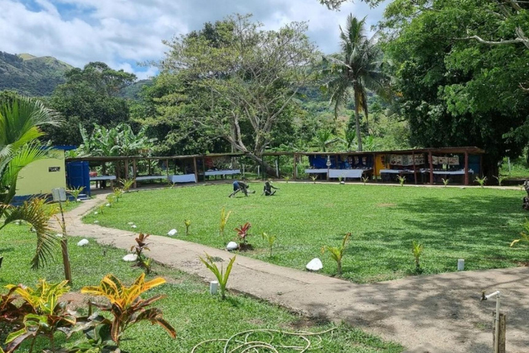 Nadi: Private Tour with Temple, Markets, and Hot Springs