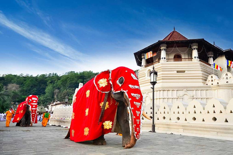 From Colombo: Kandy Temple & Highlights Private Tour Kandy Temple & Highlights Private Day Tour