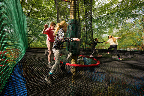 Windermere: Treetop bouncy nets (Treetop Nets)