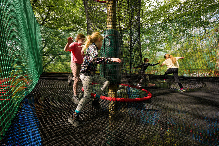 Windermere: Treetop bouncy nets (Treetop Nets)