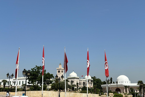 Journée privée médina de Tunis Carthage Sidi Bousaid avec déjeuner