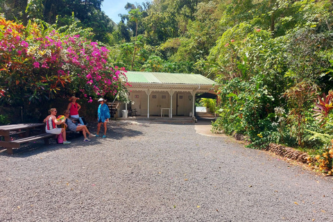 St. Lucia: Scenic Nature Hike & Botanical Garden Escape