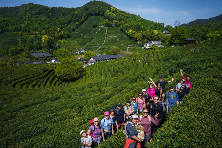 Hangzhou: Hike from Longjing Tea Village to Nine Creeks Group Tour