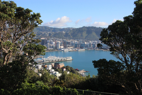 Discover Wellington - 3hr City Tour