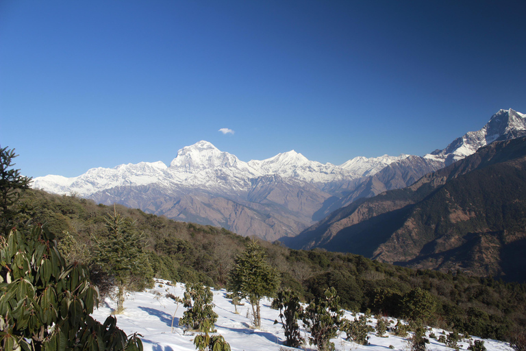 From Pokhara: 2-Day Short Poon Hill Trek