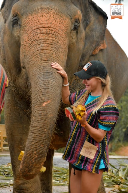 Phuket Santuario De La Jungla De Elefantes Alimentando Elefantes Getyourguide