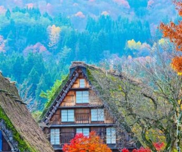 One-Day Private Trip to Shirakawa-go and Takayama