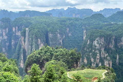 Problemfri guidning med Must-see Avatar Mount One Day Tour