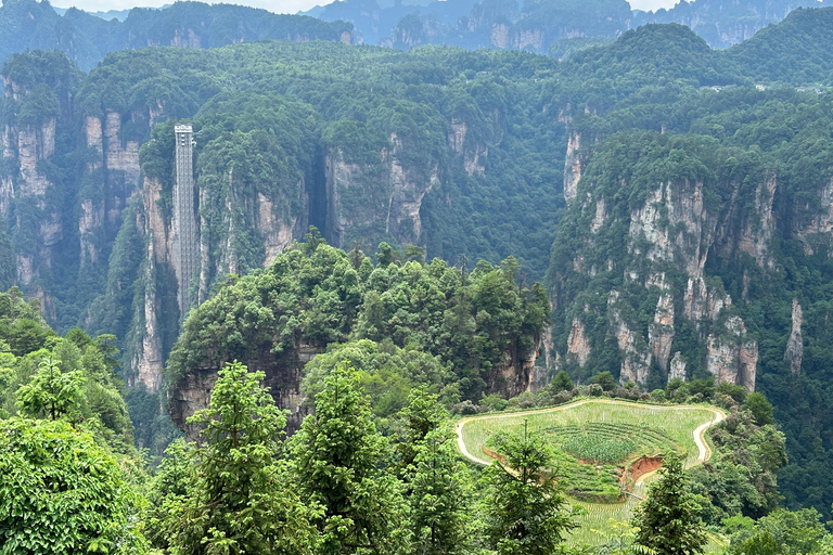 Problemfri guidning med Must-see Avatar Mount One Day Tour