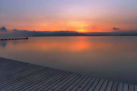 Flamingo-Birdwatching in the Ebro Delta at Sunset