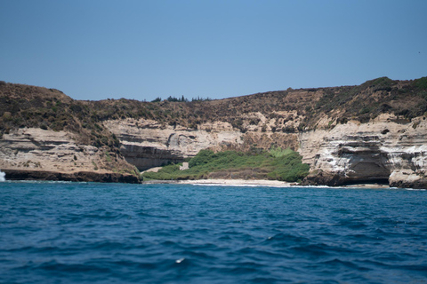 sailing yacht tour along the chilean coastline