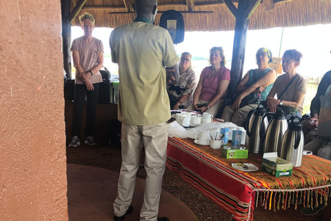 Kampala/Entebbe: Ngamba Island Chimps Sanctuary Tour