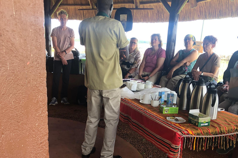 Kampala/Entebbe: Ngamba Island Chimps Sanctuary Tour