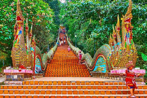 Visite du Doi Suthep et du temple Wat Pha Lat en soirée