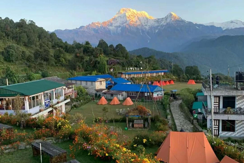 Pokhara: 2-Day Australian Base Camp & Dhampus Trek