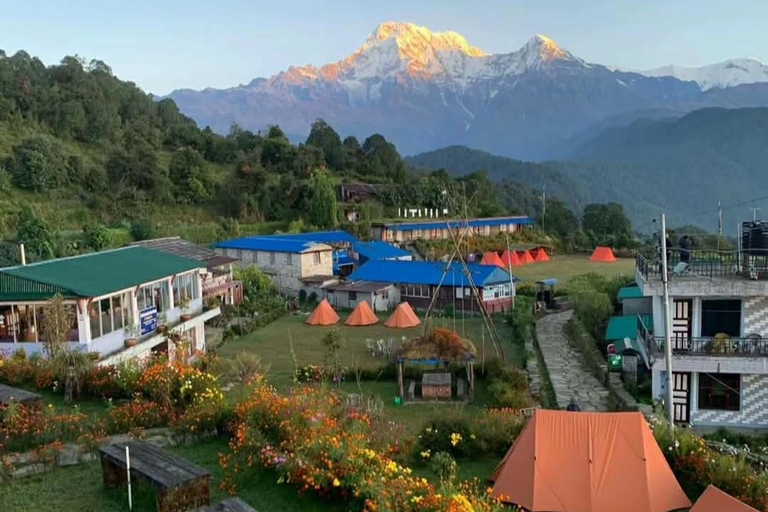 Pokhara: 2-Day Australian Base Camp & Dhampus Trek