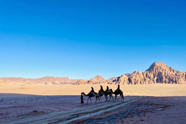 Wadi Rum: 1 Hour Camel Ride with a Bedouin Guide Wadi Rum: 4 Hour Camel Ride with a Bedouin Guide and Tea