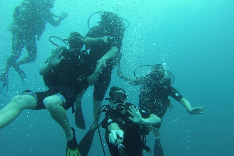 Bentota: Guided Scuba Diving Ocean Tour 2-Dive Package for Certified Divers (Includes Gear)