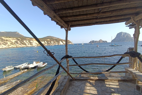 Ibiza: Tour of the Best Coves or Formentera by Private Boat with Aperitif
