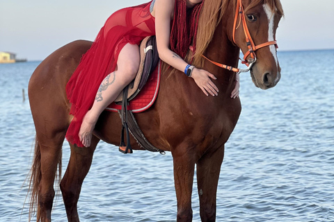 Hurghada: Abenteuerausflug mit Pferden durch die Wüste und zum StrandPrivater Ausritt in Hurghada: Wüste &amp; Strand